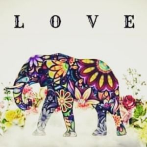 Meet your Posher, Tracey